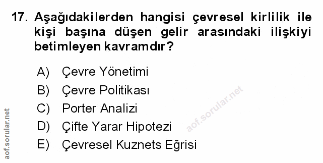 Soru 17