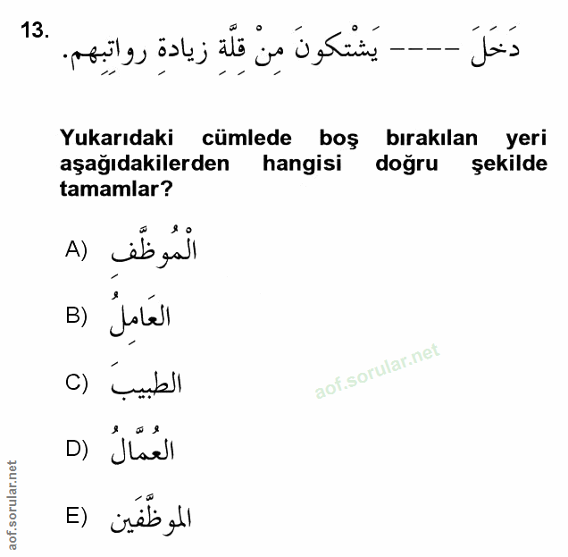 Soru 13