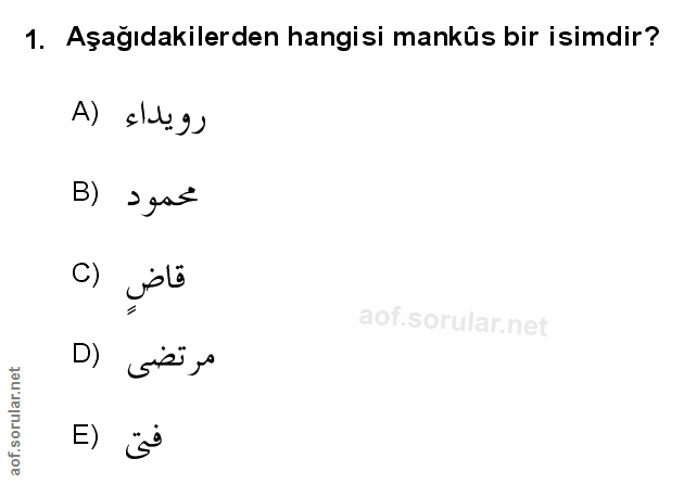 Soru 1