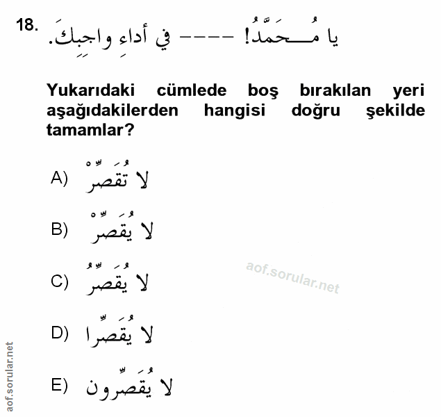 Soru 18