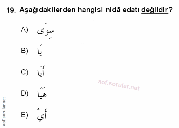 Soru 19
