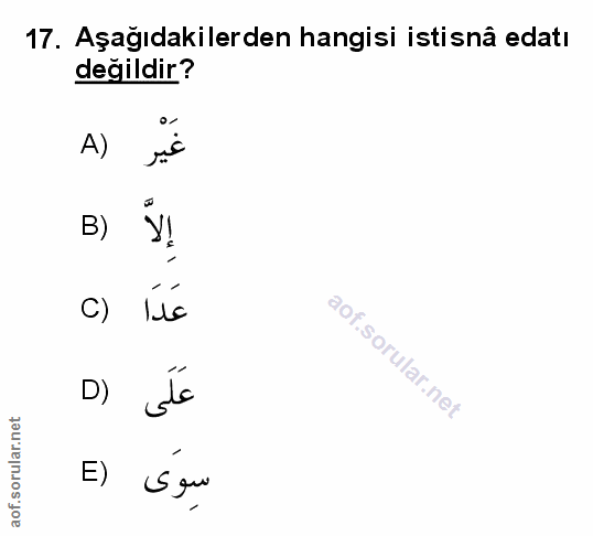 Soru 17