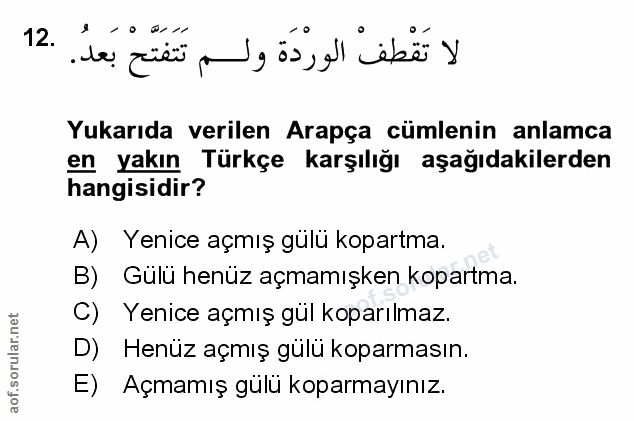 Soru 12