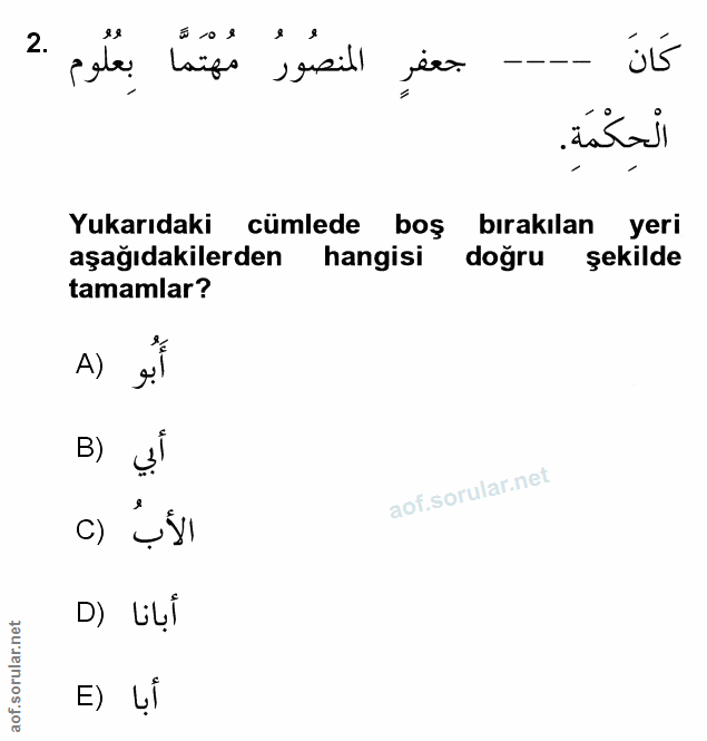 Soru 2