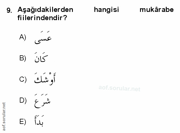 Soru 9