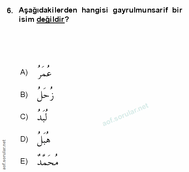 Soru 6