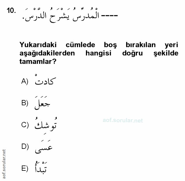 Soru 10