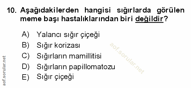 Soru 10