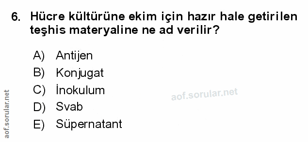 Soru 6