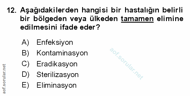 Soru 12