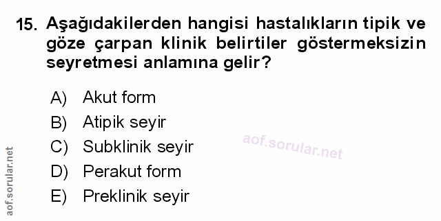 Soru 15