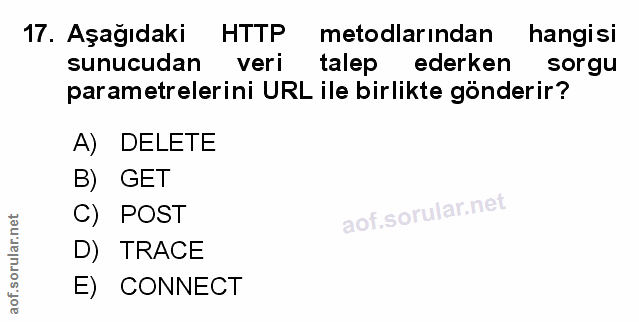 Soru 17