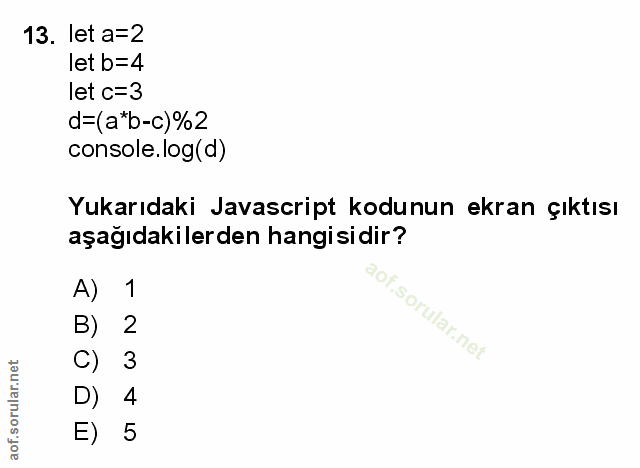 Soru 13