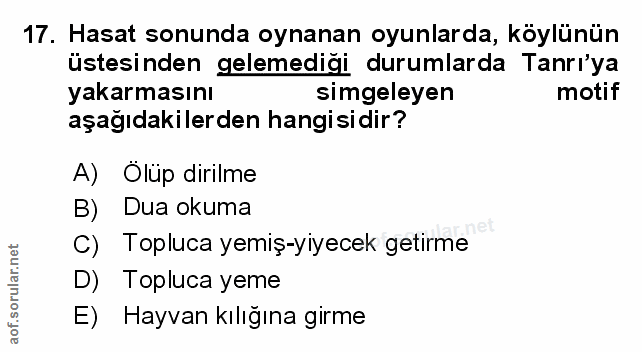 Soru 17