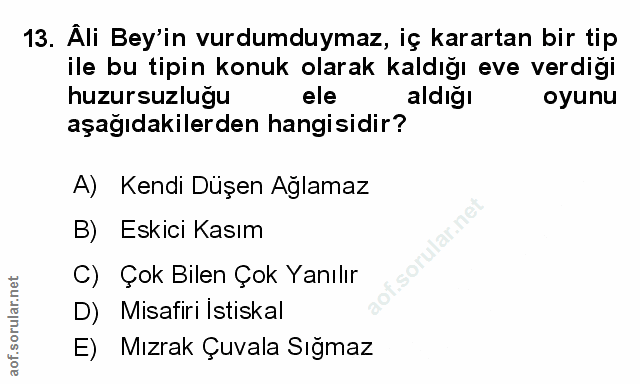 Soru 13
