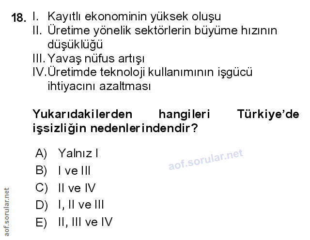 Soru 18