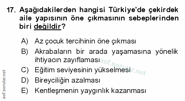 Soru 17
