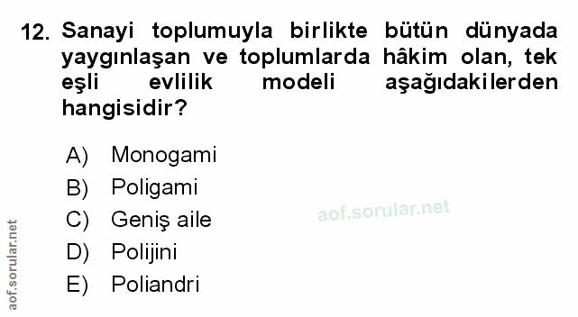 Soru 12