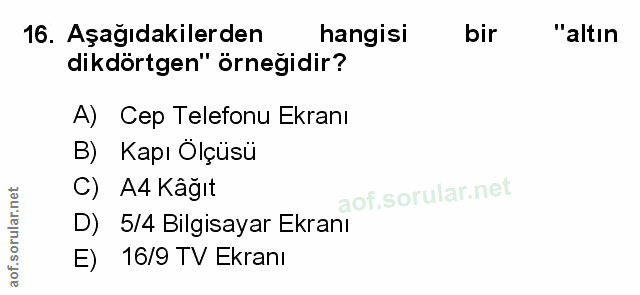 Soru 16