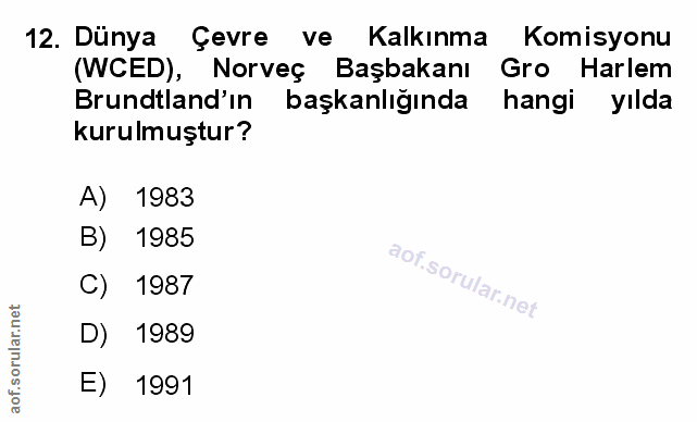 Soru 12