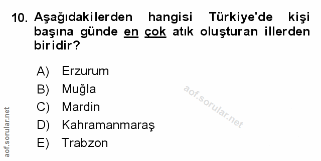 Soru 10