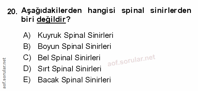 Soru 20