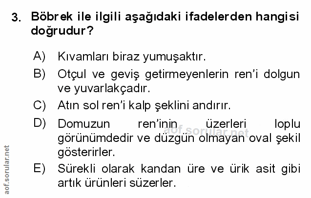 Soru 3