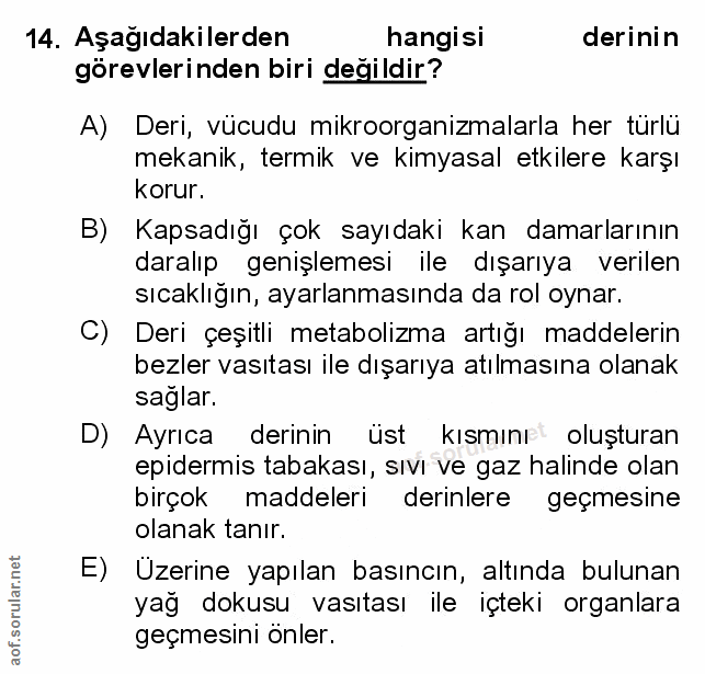 Soru 14
