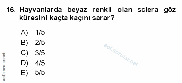 Soru 16