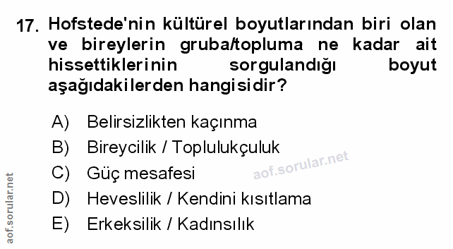 Soru 17