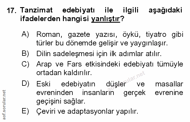 Soru 17