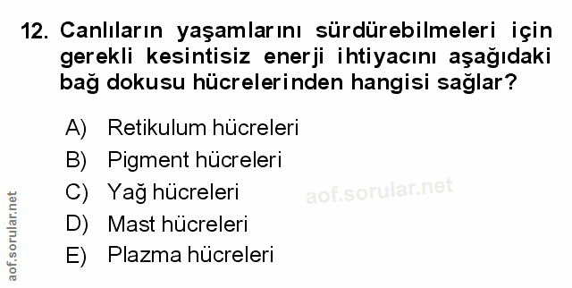 Soru 12