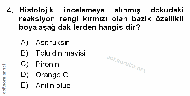 Soru 4