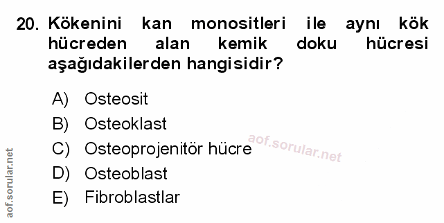 Soru 20