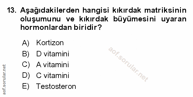 Soru 13