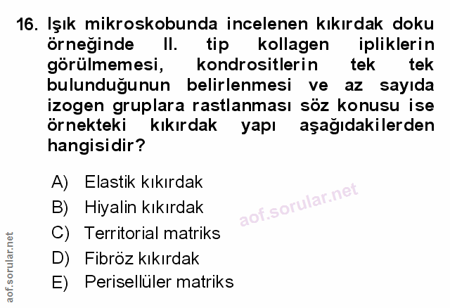 Soru 16