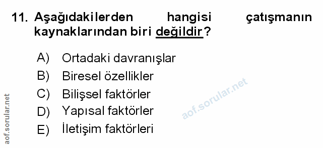 Soru 11