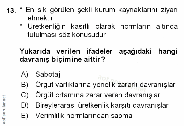 Soru 13