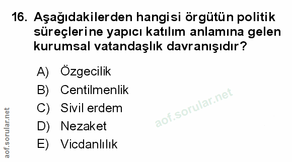 Soru 16