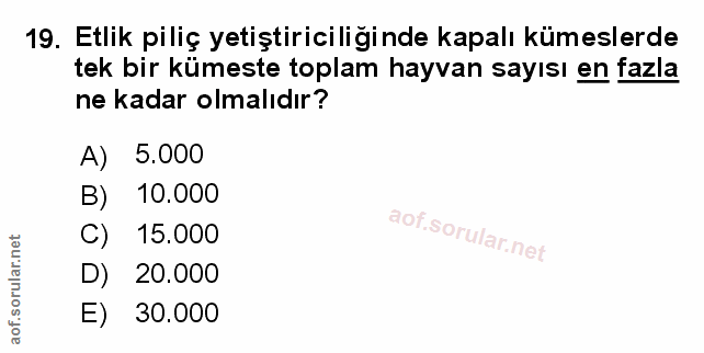 Soru 19