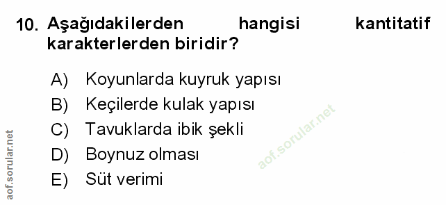 Soru 10