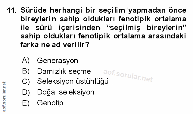 Soru 11
