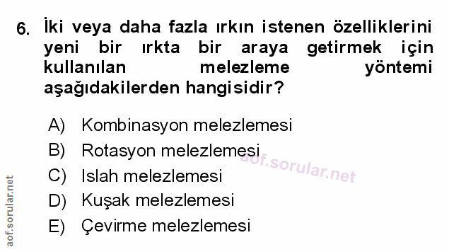 Soru 6