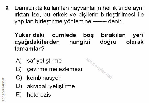 Soru 8