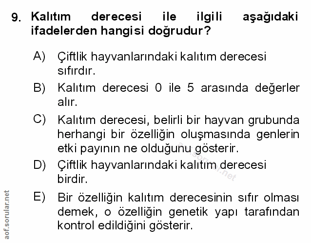 Soru 9
