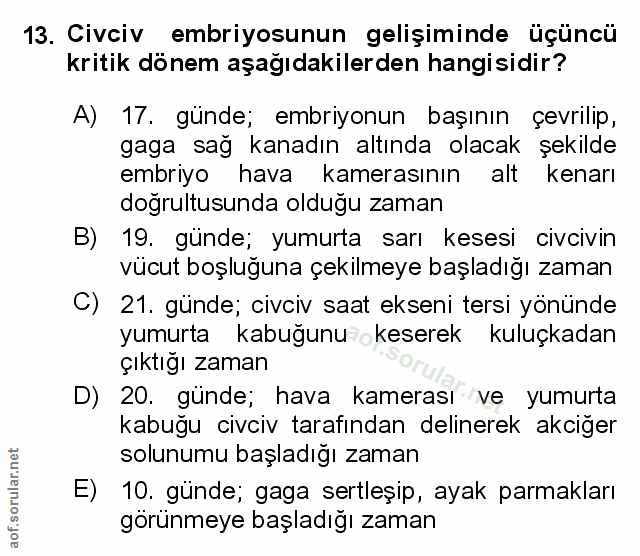 Soru 13