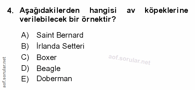 Soru 4