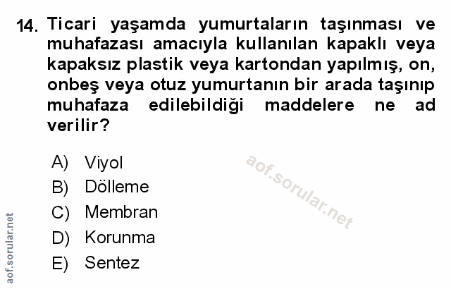 Soru 14