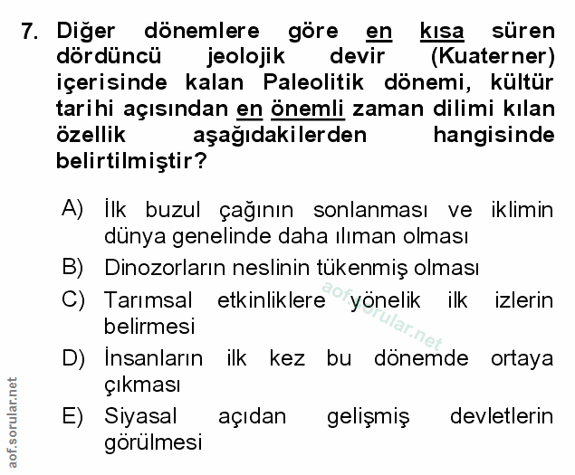 Soru 7