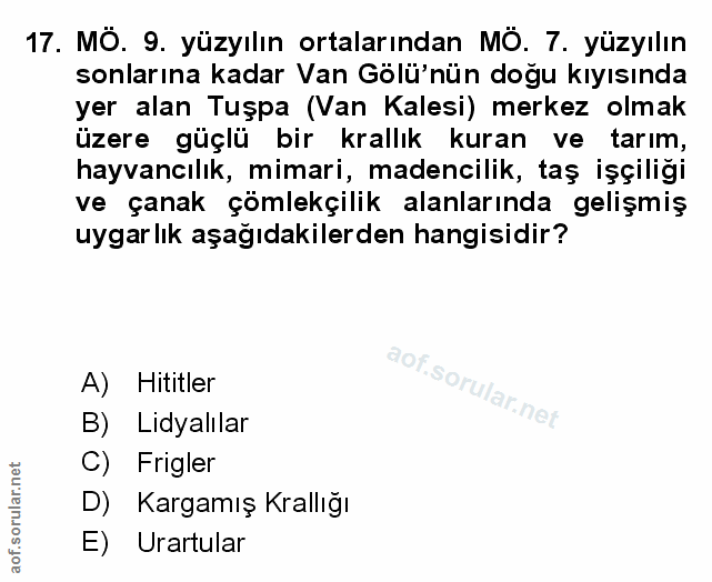 Soru 17